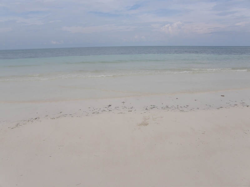 PA290810.jpg