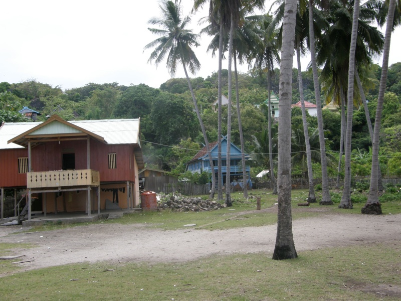 PA290812.jpg