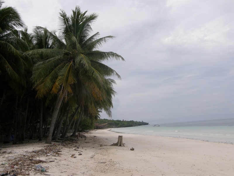PA290813.jpg