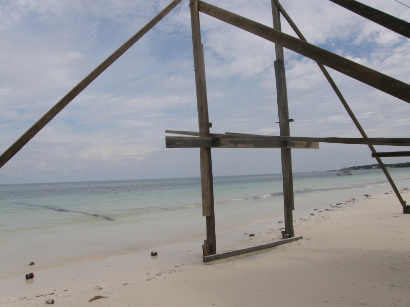 PA290826.jpg
