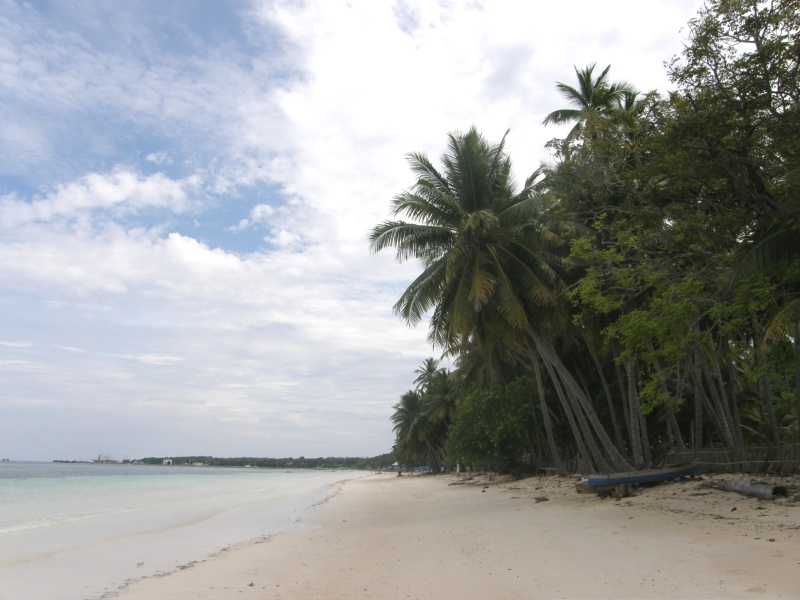 PA290830.jpg