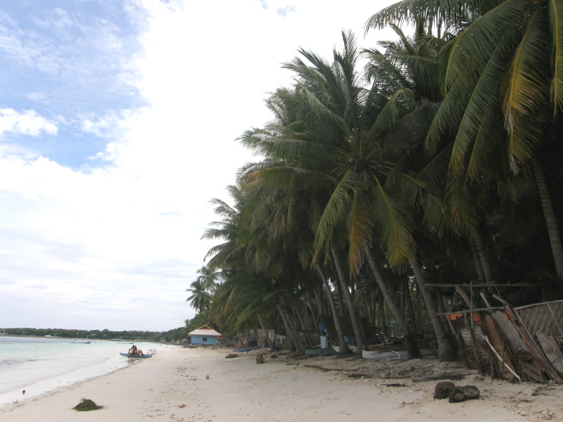 PA290831.jpg