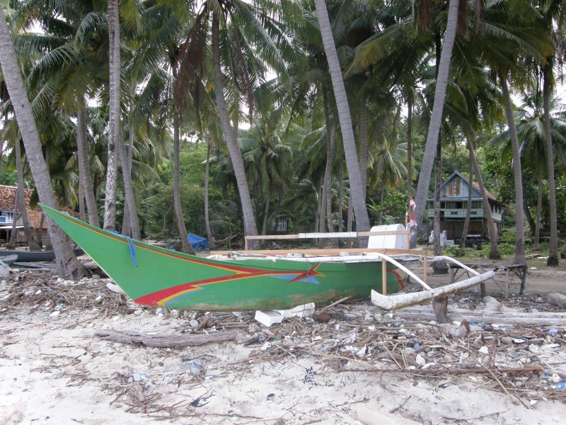 PA290838.jpg
