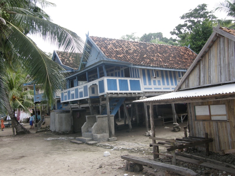 PA290839.jpg