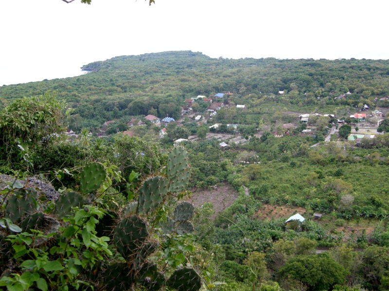 PA290848.jpg