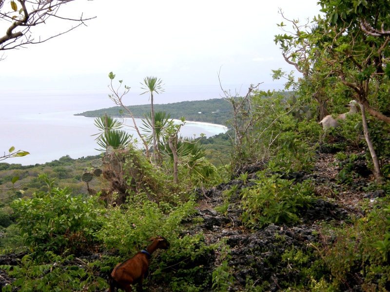 PA290855.jpg