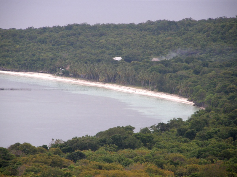PA290858.jpg