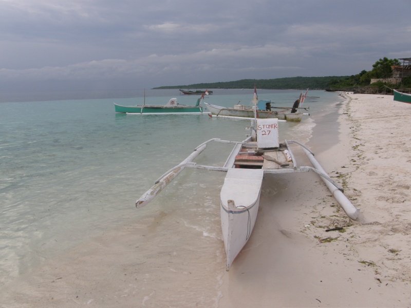 PA290866.jpg