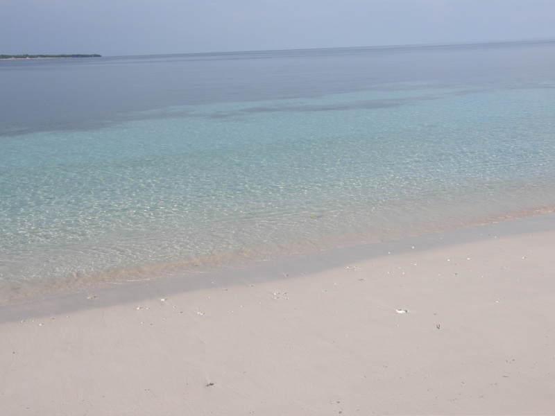 PA300899a.jpg