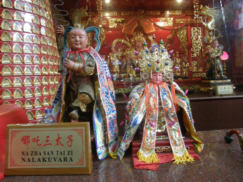 PA300981.jpg