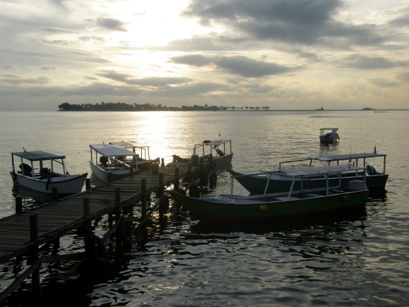 PA300993.jpg