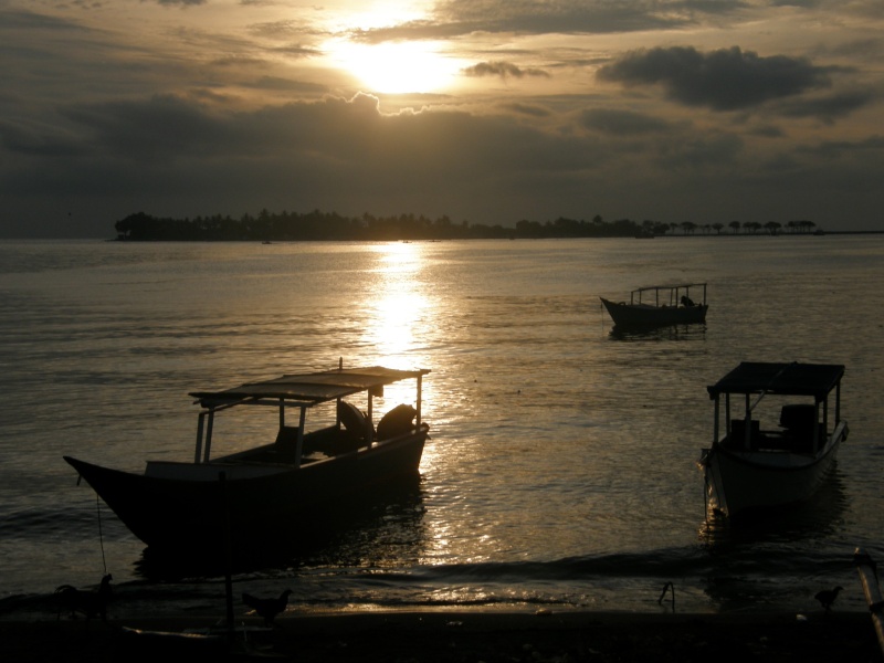 PA300995.jpg