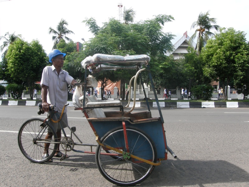 PA311007.jpg