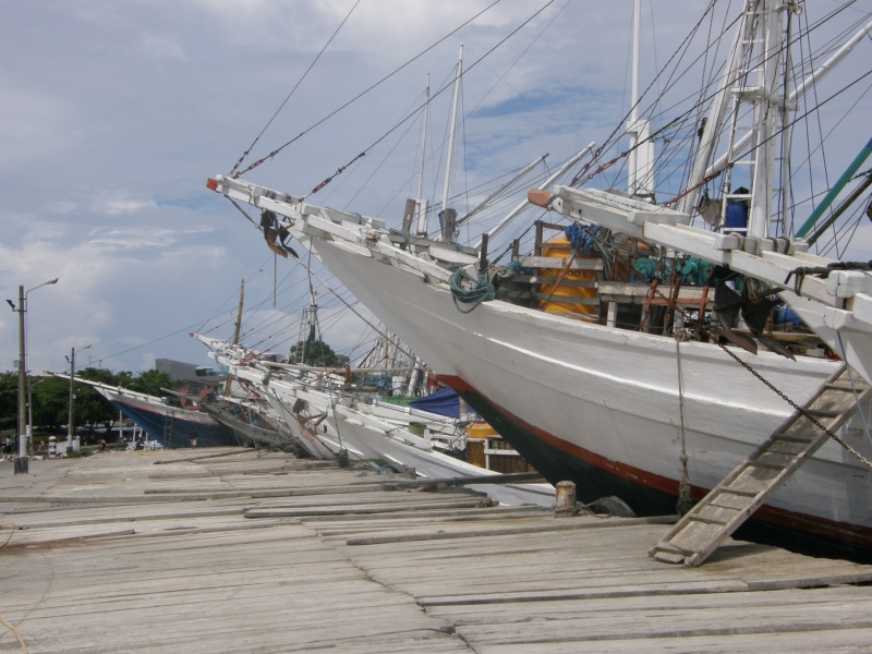 PA311009b.jpg