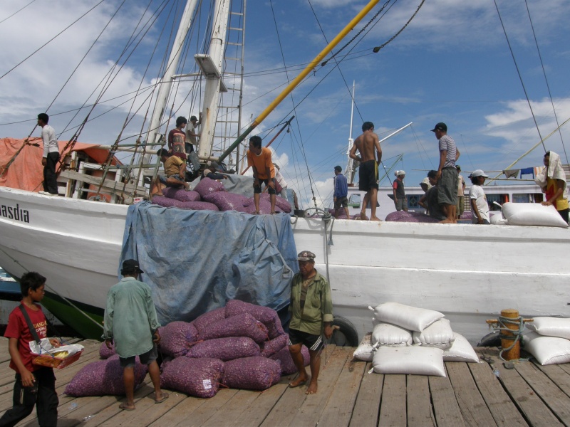 PA311017.jpg