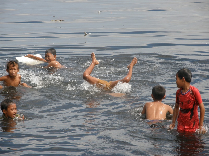 PA311032.jpg