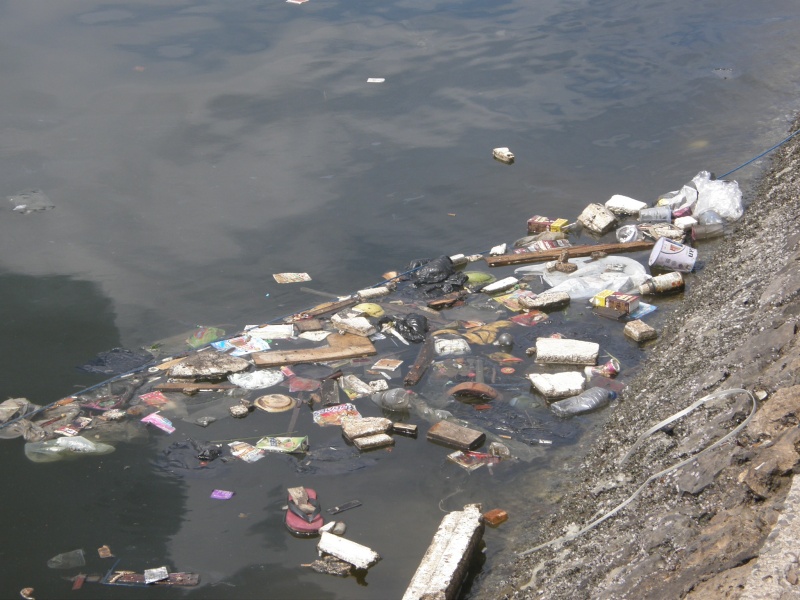 PA311037.jpg