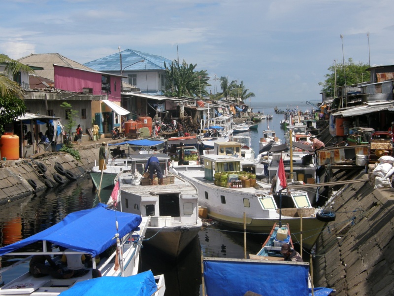 PA311051.jpg
