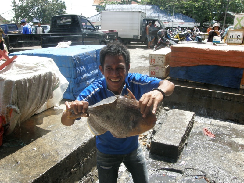 PA311065.jpg