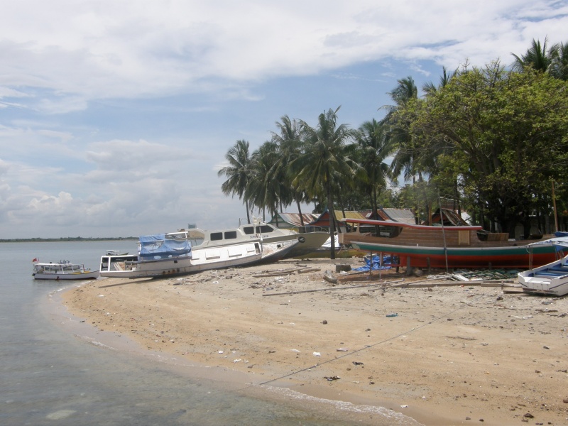 PA311081.jpg