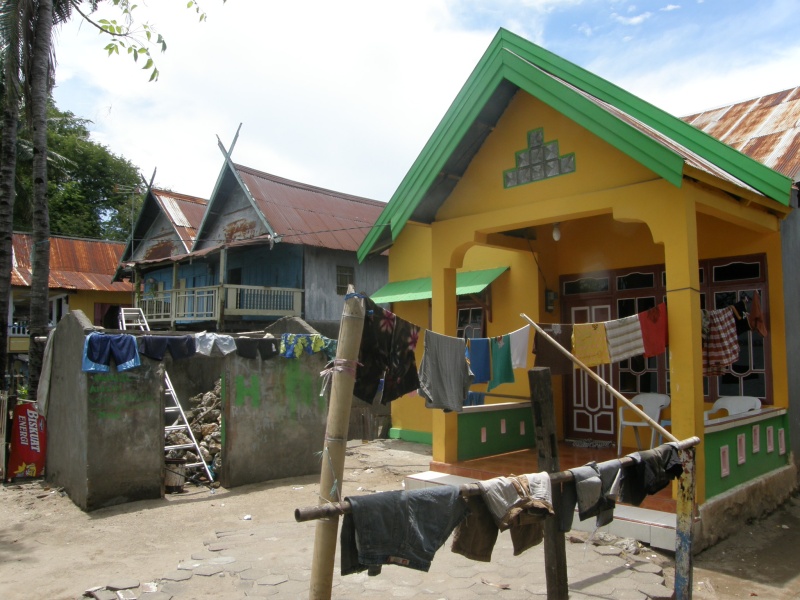 PA311086.jpg