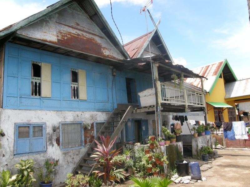 PA311087.jpg