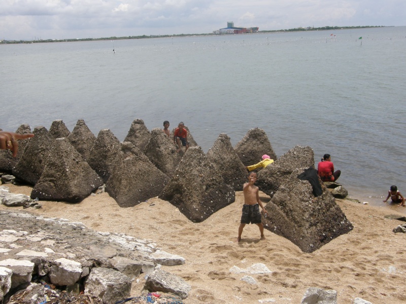 PA311091.jpg