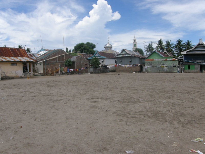 PA311097.jpg
