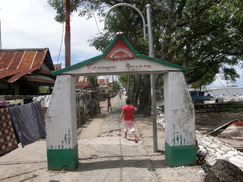 PA311100.jpg