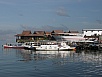 PA250099.jpg