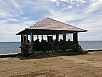PA250154.jpg