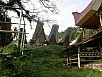 PA260187.jpg