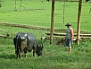 PA260188.jpg