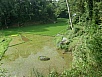 PA260194.jpg