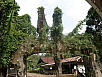 PA260196.jpg