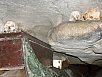 PA260208.jpg