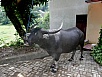 PA260229.jpg