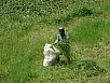 PA260238.jpg
