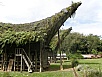 PA260244.jpg