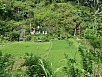 PA260247.jpg