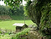 PA260264.jpg