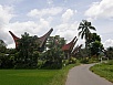 PA260282.jpg