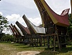 PA260286.jpg