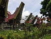 PA260287.jpg