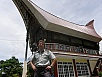 PA260291.jpg