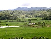 PA260312.jpg