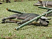 PA260330.jpg