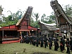 PA260351.jpg