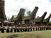PA260359.jpg