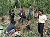 PA260369a.jpg